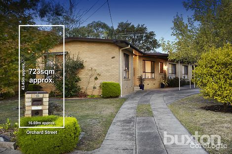 Property photo of 56 Orchard Street Glen Waverley VIC 3150