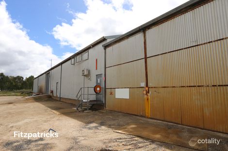 117 Hammond Ave, East Wagga Wagga, NSW 2650