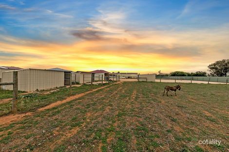 Property photo of 20 Thyer Road Macdonald Park SA 5121