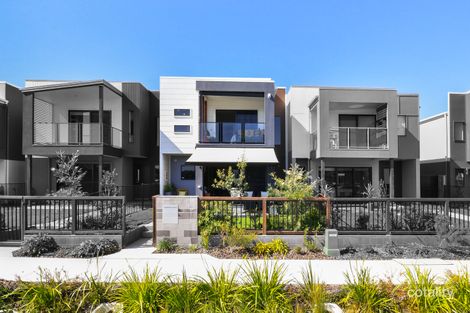Property photo of 11 Prosperity Drive Birtinya QLD 4575