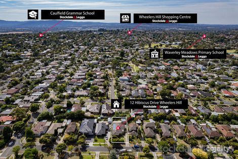 Property photo of 12 Hibiscus Drive Wheelers Hill VIC 3150