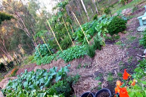 Property photo of 11 Scott Thomas Drive Sexton QLD 4570