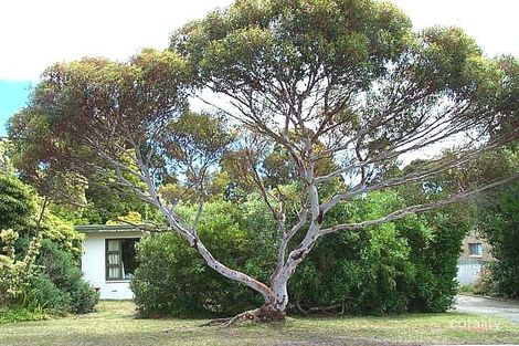 11 Lurline St, Orana, WA 6330