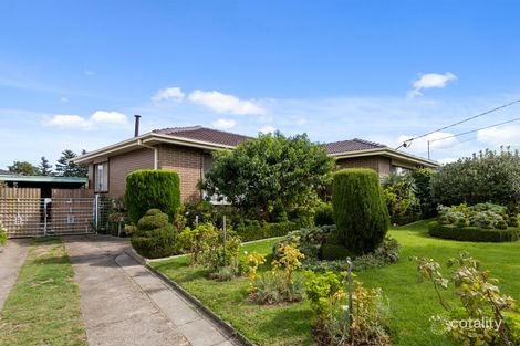 Property photo of 17 Monash Crescent Clayton South VIC 3169