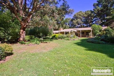 Property photo of 144 Red Hill Road Red Hill VIC 3937