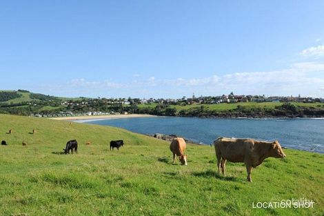 Property photo of 65 Attunga Avenue Kiama Heights NSW 2533