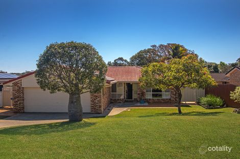Property photo of 19 Clare Street Alstonville NSW 2477