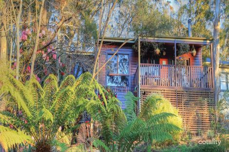 Property photo of 45 Dell Street Blackheath NSW 2785