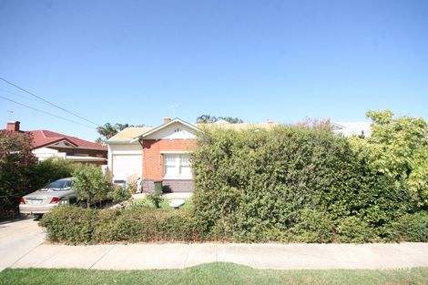 Property photo of 49 Churchill Avenue Glandore SA 5037