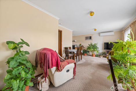 Property photo of 1/1 Skehan Avenue Wangaratta VIC 3677