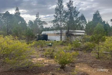 Property photo of 134 Hawkins Lane Coonabarabran NSW 2357