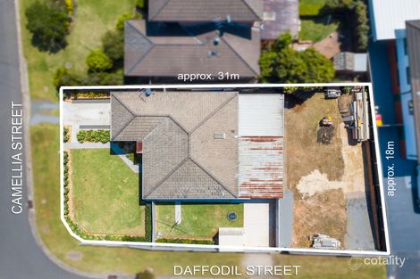 1 Camellia St, Greystanes, NSW 2145