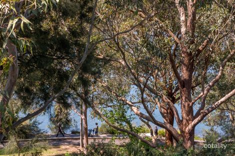 Property photo of 23/16 Leichhardt Street Glebe NSW 2037