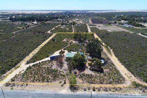 Property photo of 279 Tamarisk Drive Gabbadah WA 6041