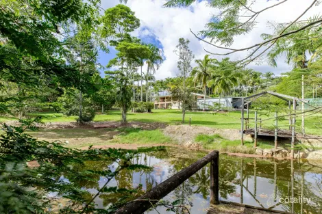 Property photo of 194 Euluma Creek Road Julatten QLD 4871