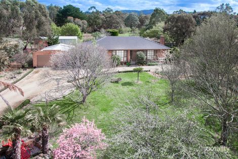 Property photo of 170 Main Road Riddells Creek VIC 3431