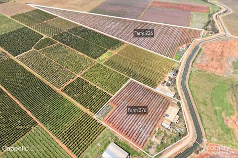 276 New Farms Rd, Nericon, NSW 2680
