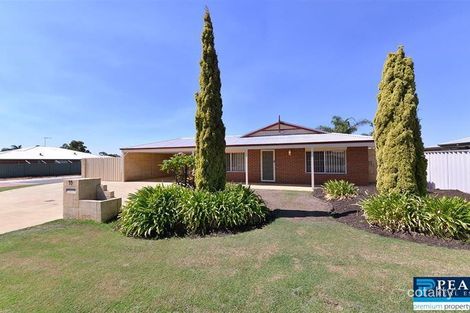 Property photo of 59 Celadon Loop Banksia Grove WA 6031