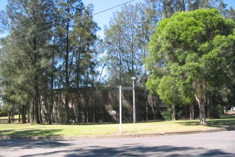 Property photo of 42 Schofield Avenue Earlwood NSW 2206