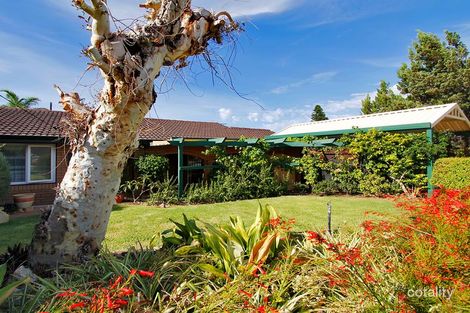 Property photo of 13 Beltana Road Craigie WA 6025