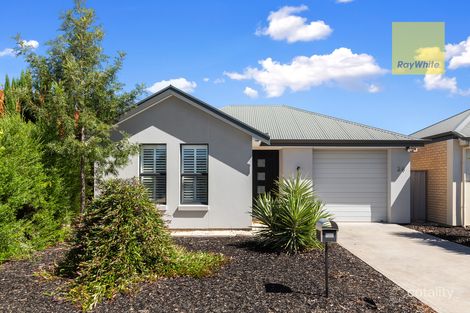 2a Mclachlan Ave, Glenelg North, SA 5045
