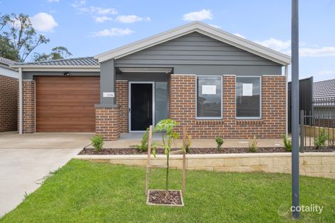 Lot 236/245 Jamboree Ave, Leppington, NSW 2179