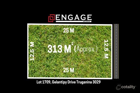 42 Gelantipy Dr, Truganina, VIC 3029