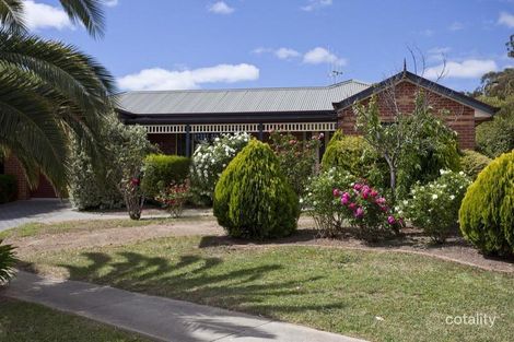 Property photo of 31 Palm Avenue Spring Gully VIC 3550