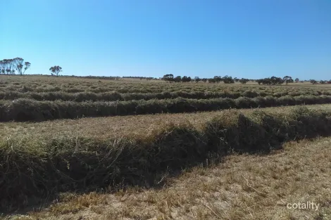 Property photo of 1100 Propodollah Road Nhill VIC 3418