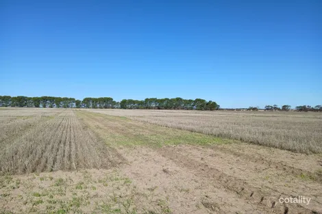 Property photo of 1100 Propodollah Road Nhill VIC 3418