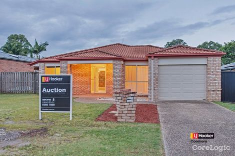 Property photo of 16 Meadowbank Drive Upper Coomera QLD 4209