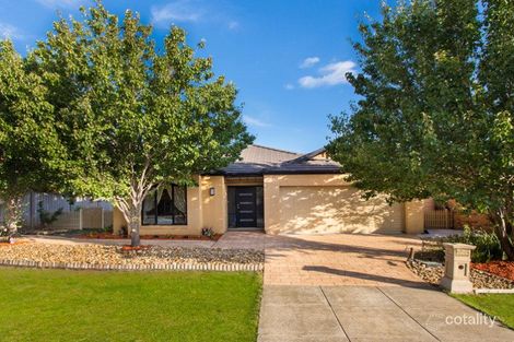 9 Odowd Pl, Lynbrook, VIC 3975