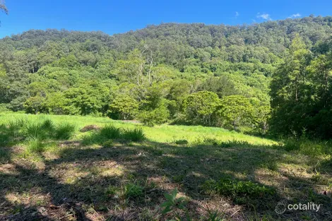 Property photo of 345 Tuntable Falls Road Nimbin NSW 2480
