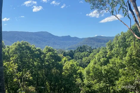 Property photo of 345 Tuntable Falls Road Nimbin NSW 2480