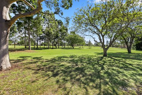Property photo of 18 Diosma Street Centenary Heights QLD 4350