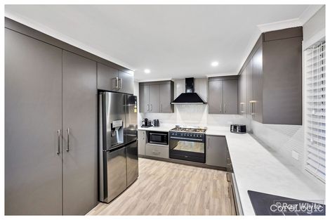 Property photo of 29 Rachael Close Rockyview QLD 4701