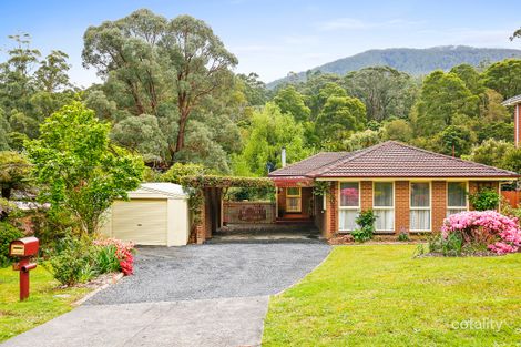 Property photo of 36 Lincoln Road Warburton VIC 3799