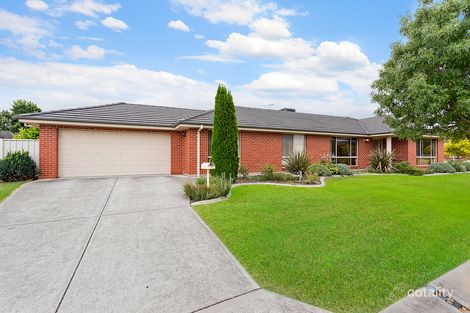 Property photo of 20 Saunders Crescent Wodonga VIC 3690