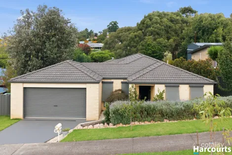 Property photo of 11 Silverback Place Leongatha VIC 3953