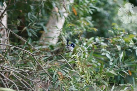 Property photo of LOT 37 Larpent Avenue The Branch NSW 2425