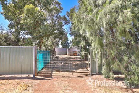 Property photo of 295 Belar Avenue Irymple VIC 3498