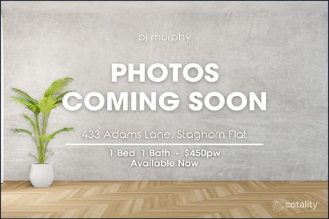 433 Adams Lane, Staghorn Flat, VIC 3691