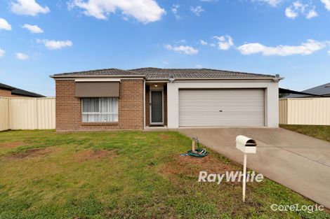 Property photo of 6 Immacolata Rise Red Cliffs VIC 3496