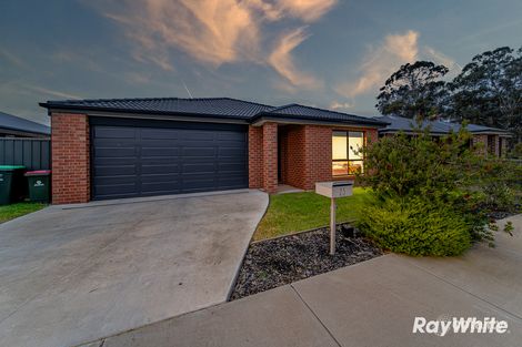 Property photo of 25 Parkview Boulevard Huntly VIC 3551