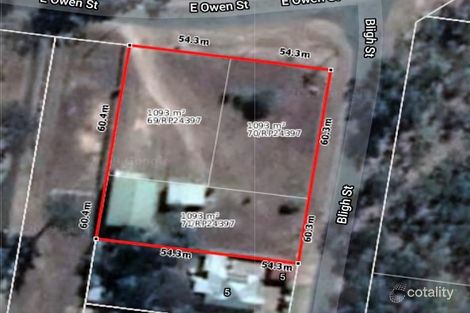 Property photo of 41 East Owen Street Raceview QLD 4305