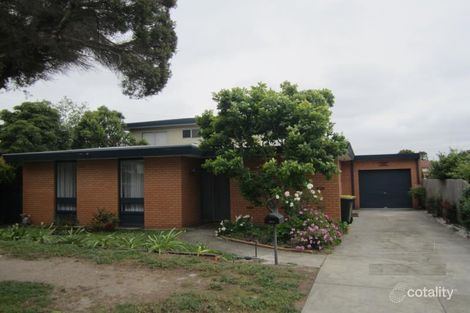 38 Stork Ave, Belmont, VIC 3216