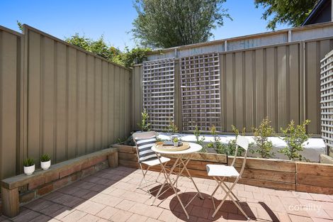 Property photo of 846 Elizabeth Street Waterloo NSW 2017