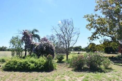 Property photo of 39 Kooroogamma Road Moree NSW 2400