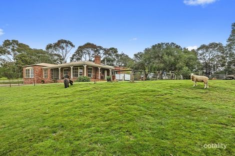 100 Moores Rd, Bellbrae, VIC 3228