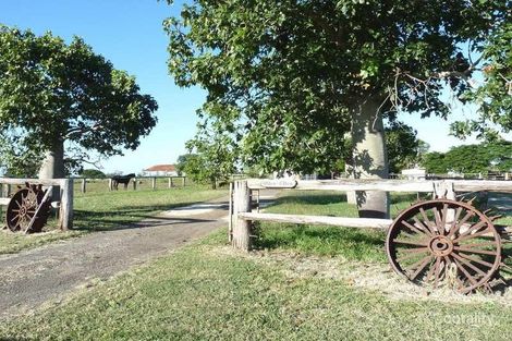 Property photo of 212 Alton Downs-Nine Mile Road Alton Downs QLD 4702